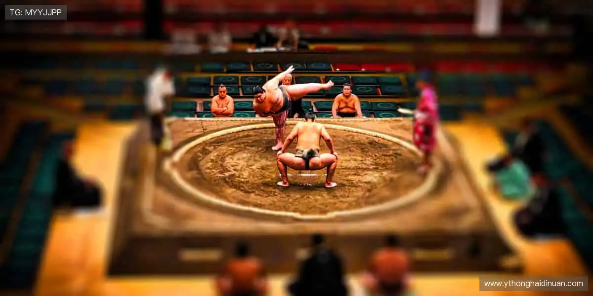 每一球,都是心跳的理由!⚽